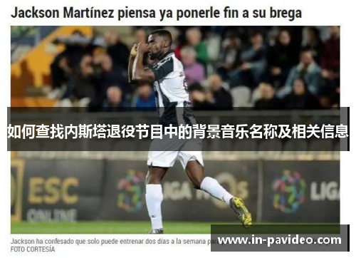 如何查找内斯塔退役节目中的背景音乐名称及相关信息