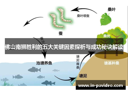 佛山南狮胜利的五大关键因素探析与成功秘诀解读