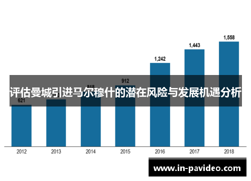 评估曼城引进马尔穆什的潜在风险与发展机遇分析 评估曼城引进马尔穆什的潜在风险与发展机遇分析