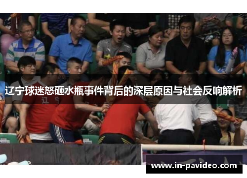 辽宁球迷怒砸水瓶事件背后的深层原因与社会反响解析