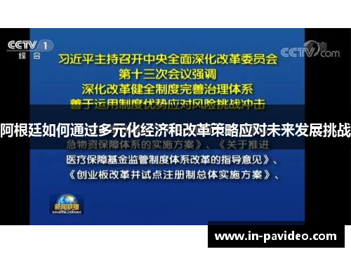 阿根廷如何通过多元化经济和改革策略应对未来发展挑战 阿根廷如何通过多元化经济和改革策略应对未来发展挑战