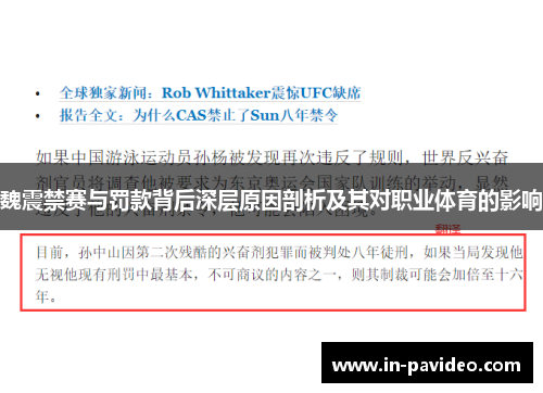 魏震禁赛与罚款背后深层原因剖析及其对职业体育的影响 魏震禁赛与罚款背后深层原因剖析及其对职业体育的影响