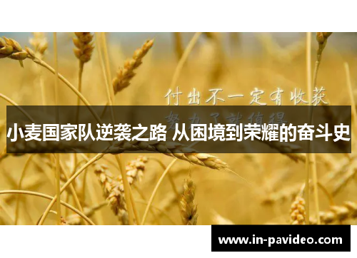 小麦国家队逆袭之路 从困境到荣耀的奋斗史 小麦国家队逆袭之路 从困境到荣耀的奋斗史